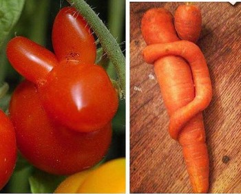 Прикольные картинки , фото , открытки. - getImage-1.jpeg