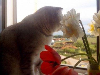 Кого из животных вы содержите? Фото приветствуется. - Hu1p1zvQUYw.jpg