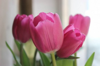 Доброго утра Хорошего дня Спокойной ночи  - jEhkF6Hi0tk.jpg