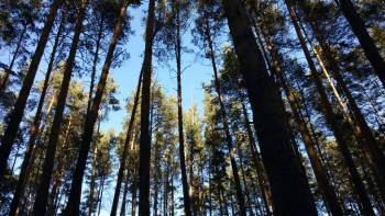 А у вас сейчас какое настроение? - 20160221_155042.jpg