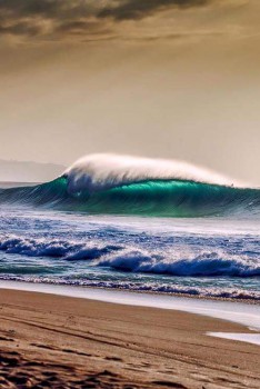 А у вас сейчас какое настроение? - 12744058_1730126407222642_6069428508822492023_n.jpg