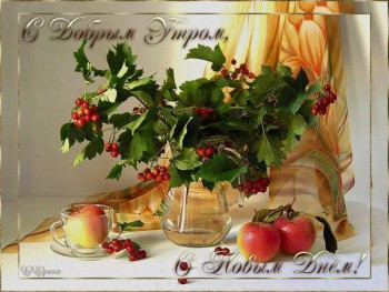 Доброго утра Хорошего дня Спокойной ночи  - 12745639_1730280917207191_6964029462090470224_n.jpg