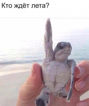 А у вас сейчас какое настроение? - w0yCipMjGzM.jpg