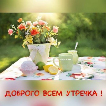Доброго утра Хорошего дня Спокойной ночи  - 12742342_224741947869525_5323098705285309713_n.jpg
