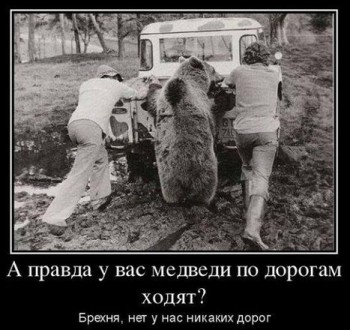 Из ВКонтактика с приветиком  - 42c344516c8248ca620c4de2bf8576b6.jpeg