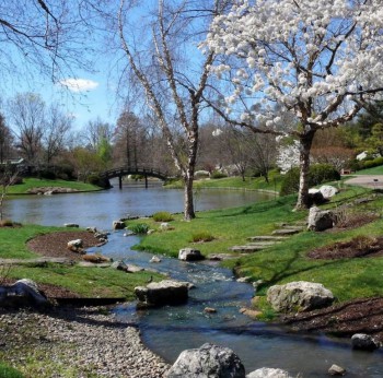 День Рождения = любимое время года?  - image.jpg