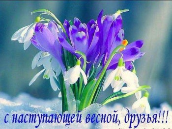 Доброго утра Хорошего дня Спокойной ночи  - 12688269_939957702764433_6261280339128452939_n.jpg