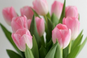 Доброго утра Хорошего дня Спокойной ночи  - aSOT8jEk-UI.jpg