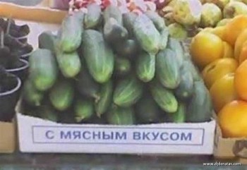 Шутки в сторону  - I2G4D2TTNNk.jpeg