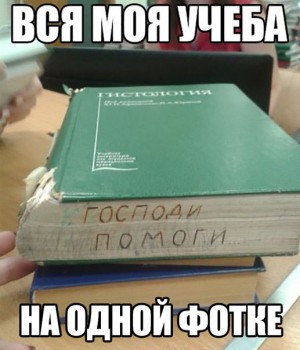 Шутки в сторону  - 3VFwTGnUjFI.jpeg