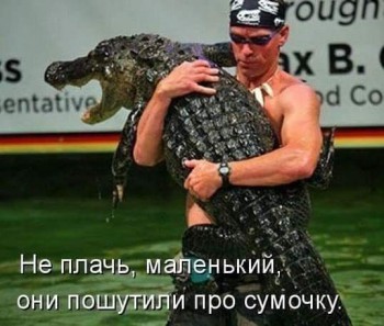 Прикольные картинки , фото , открытки. - 972209_171038996609805_8317045132612233161_n.jpg