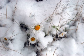 А у вас сейчас какое настроение? - original.jpeg