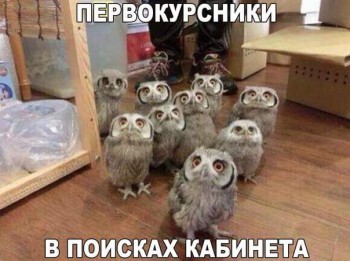 Прикольные картинки , фото , открытки. - 12321651_173387573041614_3383977796571992096_n.jpg