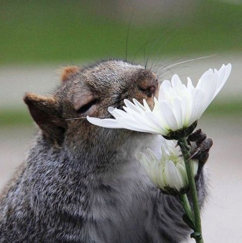 А у вас сейчас какое настроение? - pzYn4I31wlE.jpg