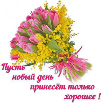 Доброго утра Хорошего дня Спокойной ночи  - 12800138_1686370174913632_3831151451950101815_n.jpg