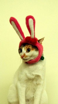 Аватарки. Наши интернет-лица-2 - image.jpeg