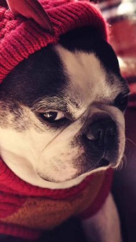 Аватарки. Наши интернет-лица-2 - image.jpeg