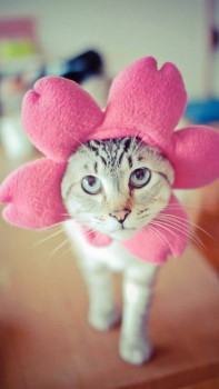 Аватарки. Наши интернет-лица-2 - image.jpeg