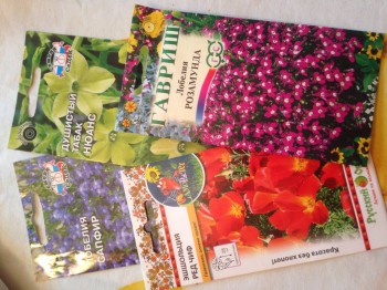 Декоративные садовые растения. - image.jpg