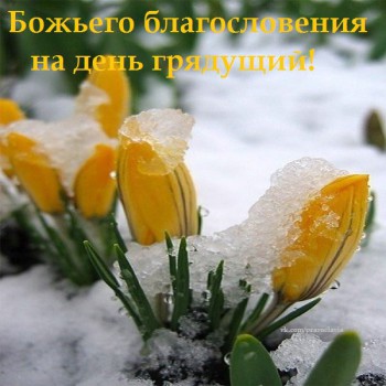 Доброго утра Хорошего дня Спокойной ночи  - 0ItWQhEVZss.jpeg