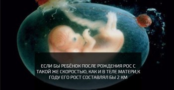 Знаете ли Вы ,что всякие интересности и любопытности  - 3egMHb4q6RU.jpeg