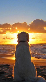 А у вас сейчас какое настроение? - image.jpeg