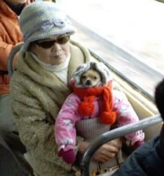 Прикольные картинки , фото , открытки. - IMG_20160307_202438.jpg