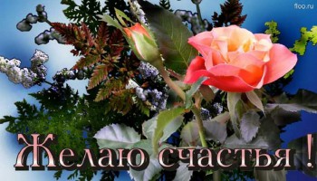 Доброго утра Хорошего дня Спокойной ночи  - 12496318_1690290527907204_2839356746335095533_o.jpg