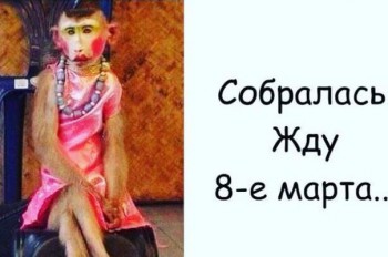 Прикольные картинки , фото , открытки. - 0lnEP3HUMlM.jpeg