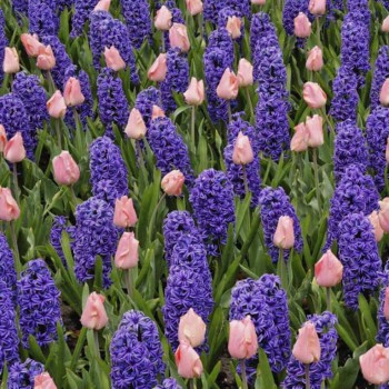 А у вас сейчас какое настроение? - 12794403_197668993934182_3834204971222125553_n.jpg