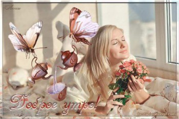 Доброго утра Хорошего дня Спокойной ночи  - 12804645_1566322327016784_1892058915557542159_n.jpg