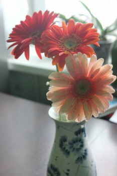 А у вас сейчас какое настроение? - NdMYnyd83mk.jpg