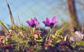 Доброго утра Хорошего дня Спокойной ночи  - QLeMWKDfyPg.jpg