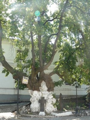 Моя любимая Киево-Печерская Лавра - P1060921.JPG