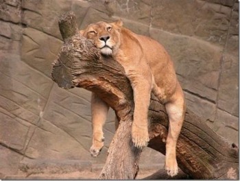 А у вас сейчас какое настроение? - -DF_VSNd4GI.jpeg