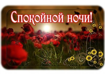 Доброго утра Хорошего дня Спокойной ночи  - image-1и-5.jpg