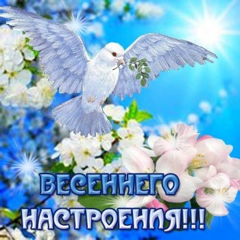 Доброго утра Хорошего дня Спокойной ночи  - image-1и-7.jpg