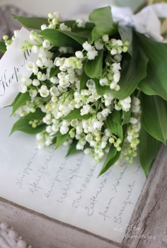 Доброго утра Хорошего дня Спокойной ночи  - 03d71241b717383d7b971c15b4ceb9e2.jpg