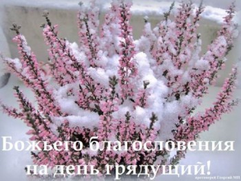 Доброго утра Хорошего дня Спокойной ночи  - getImage-8.jpeg