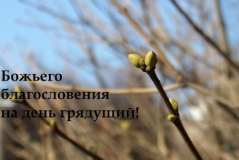 Доброго утра Хорошего дня Спокойной ночи  - revmDRFtBJM.jpeg