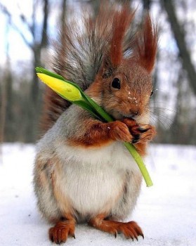 А у вас сейчас какое настроение? - 42aCyzyJeQo.jpg