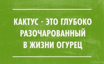 Из ВКонтактика с приветиком  - 4JVH2xskN64.jpeg