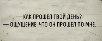 Чем сегодня занимались-3 - cchY6PY_VBU.jpeg