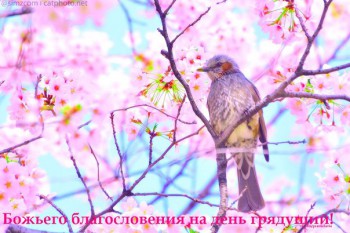 Доброго утра Хорошего дня Спокойной ночи  - 1oKGEe1B2aw.jpeg