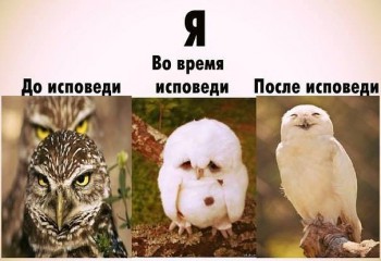 Шутки в сторону  - CsY2eqRbId4.jpg