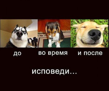 Шутки в сторону  - bed3d677aba452b9daf3fcf68cd7acb5.jpeg