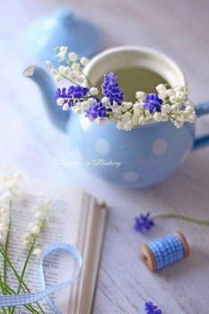 Аватарки. Наши интернет-лица-2 - чайник.jpg