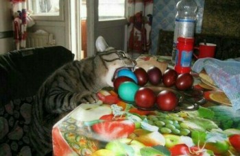 Шутки в сторону  - KqIMzMSOdBY.jpg