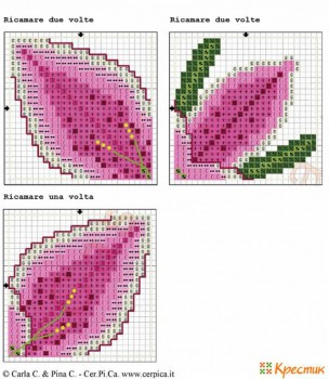Бискорню и прочие игольницы - shema-vyshivki-liliya.jpg