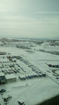 Поговорим о погоде - IMG_20160509_094033.jpg